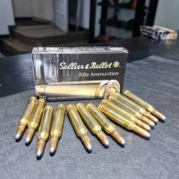 308 win