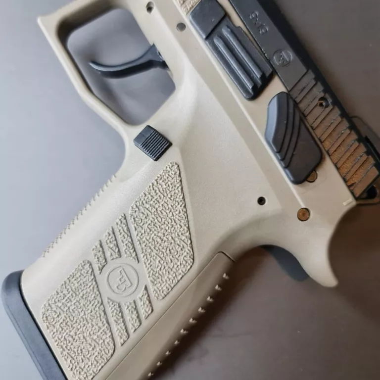 P 07 3