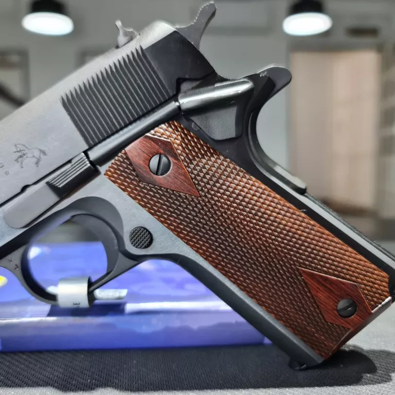 Colt government 1911 2